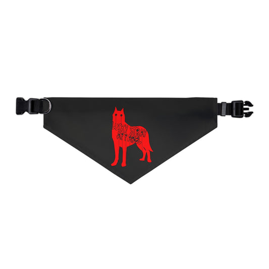 Pet Bandana Collar